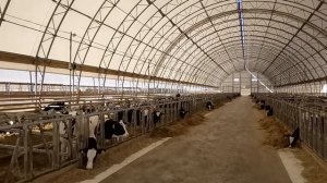 Быстровозводимые каркасно-тентовые ангары арочного типа