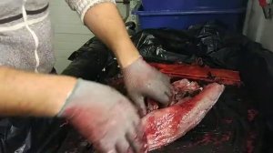 Разделка рыбы (толстолоба) для вяления, копчения.