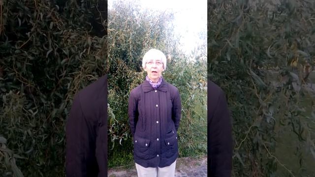 Деньги на черный день