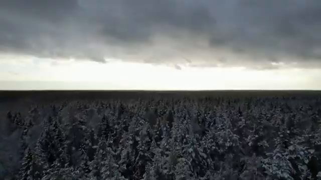 Степан. смотреть онлайн