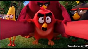 Talking tom & angry birds. Coffin dance. #talkingTom