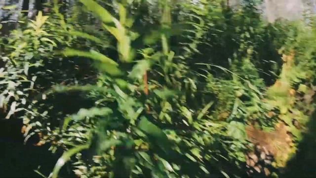 Мир Творца | ПВД на г.Кумба. смотреть онлайн