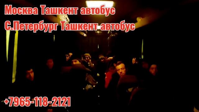 Moskva Tashkent avtobus Санкт-Петербург Ташкент автобус Россия Узбекистан такси