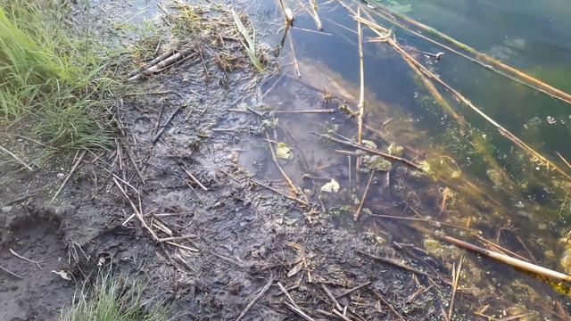 Славянск. 15 мая 2023г. Вечер. смотреть онлайн