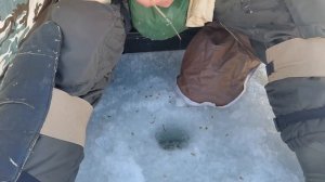 Глухое Новосибирск 180122 рыбалка перед крещением