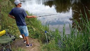 рыбалка на карася в Санкт-Петербурге