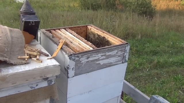 Пчеловодство видео  Отбор меда 7 августа  Beekeeping video  Selection of honey on 7 August