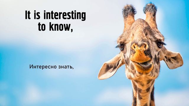 НАЧНИ ПОНИМАТЬ английский язык на слух｜ПРОСТОЙ РАССКАЗ ДЛЯ НАЧИНАЮЩИХ #английскийдляначинающих