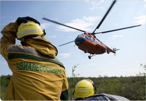 История авиалесоохраны