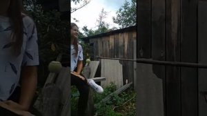 Супер Яблоко Дюшес ( Любовь Яблока и Груши)