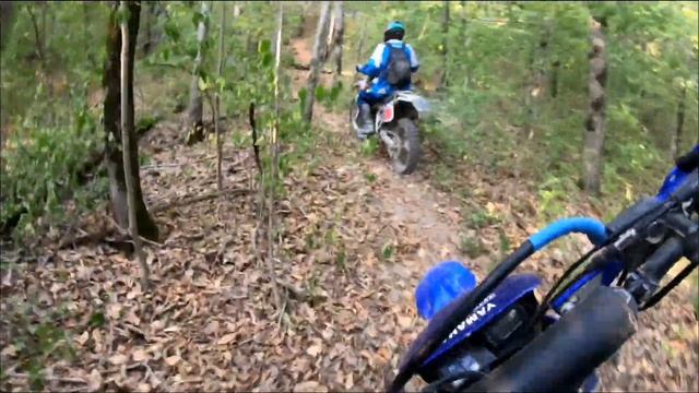 Эндуропрогулка. Три Серёги. Штаны вышли из чата. Yamaha TTR 250