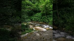 Абхазия 2021, Анакопия клаб, озеро Рица, Сухум и т. д. Как мы отдохнули в Абхазии