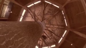 Страшные истории. Мумия собаки в стволе дерева.