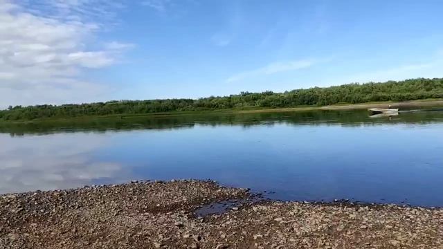 Колесниковы загибаются от переживаний за детей// Обзор видео// смотреть онлайн