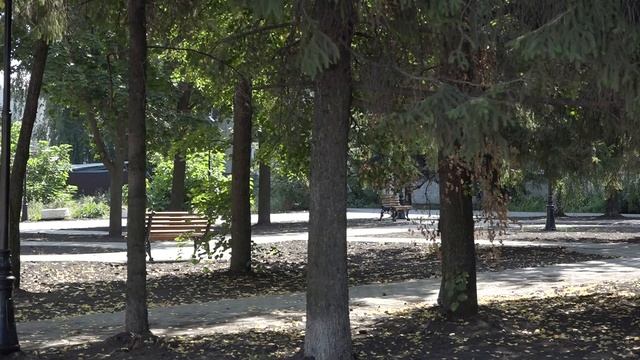 Благоустройство сквера Чернобыльцев. Август 2021 год.