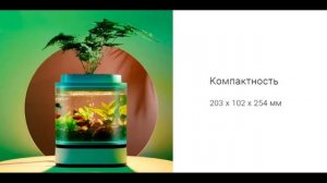 Аква-ферма Xiaomi Descriptive Geometry Mini Lazy Fish Tank Pro C300