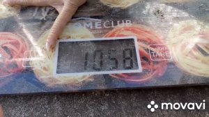 Бройлерам РОСС-308 - 22 дня. Вес бройлеров РОСС-308 без антибиотиков.