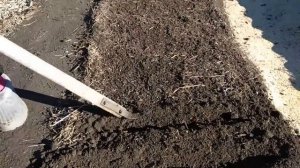 В ОГОРОД ❗️❗️❗️ПОСАДКА🍅🍅 ТОМАТОВ🍅 В ОГ ПОД ЗИМУ.. И ДР...