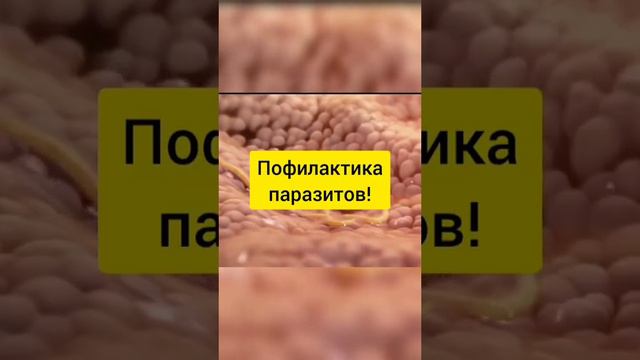 Чем полезны тыквенные семечки