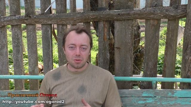 Не практичный огород и запущенный участок?