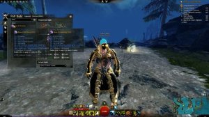 Guild Wars 2 - The OVERPOWEREDNESS - PvP SoulBeast