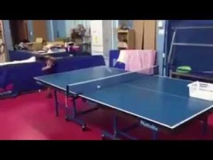 Микротеннисист