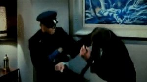 Bruce Lee || History in English