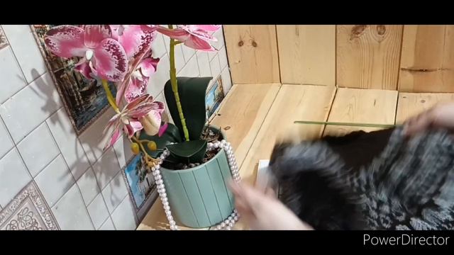 бинго2024 бинго2024_отчет_зима