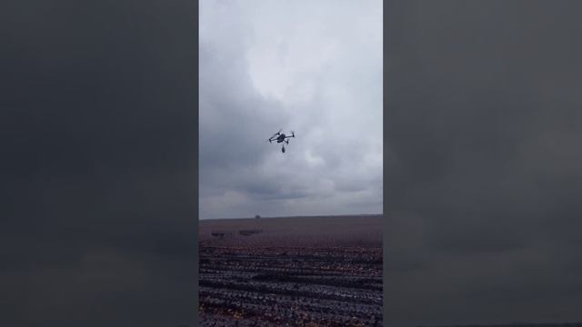 Полетел отвозить подарок всушникам смотреть онлайн