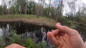 Exploring a TREACHEROUS MARSH for TINY FISH! (fail)