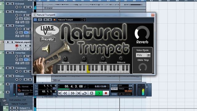 Natural Trumpet VST/Au смотреть онлайн