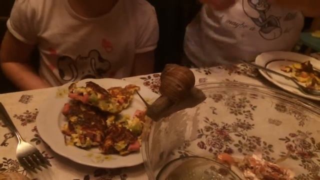 Дети нашли улиток