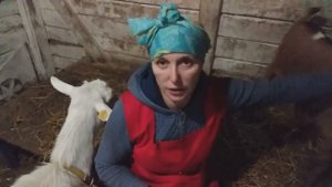 Почему Воняет козье  молоко