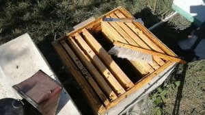 Простой и Легкий способ как собрать гнездо пчёл в зиму.