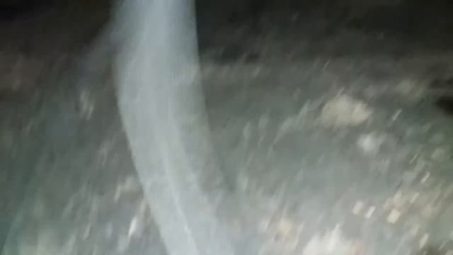 Замена приводного ремня на HYUNDAI GRAND STAREX CVX смотреть онлайн