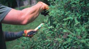 Ножницы для кустарников Okatsune