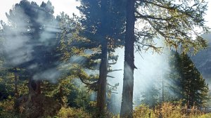 поход 2024 17 мин