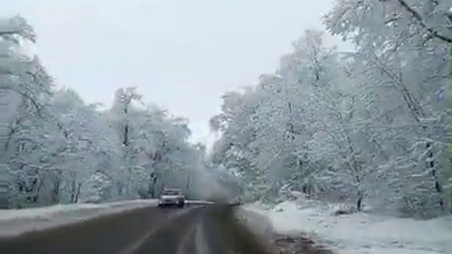 Лесопарк  Кумысная поляна в Саратове зимой