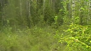 Серега влетает на Гряду и переворачивается!.MOD
