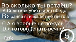 Тест какое ты животное