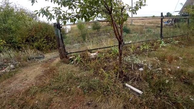 ЛЕНЬ ОДОЛЕЛА/Мама поделилась СЕКРЕТОМ/Они мне так МСТЯТ смотреть онлайн