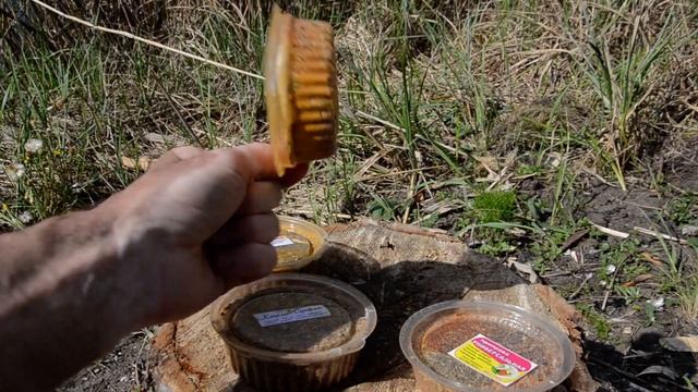 Приправы с жучками смотреть онлайн