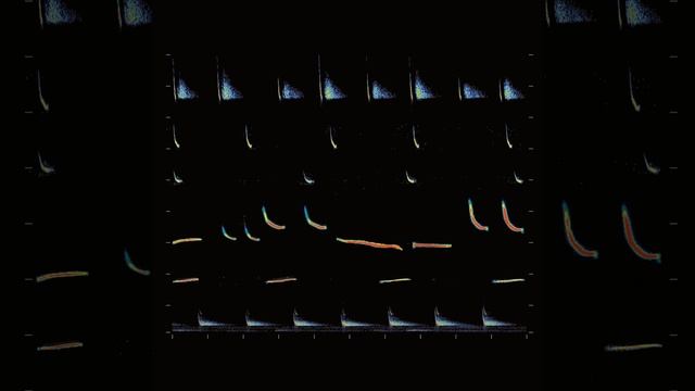 Sambazonica смотреть онлайн