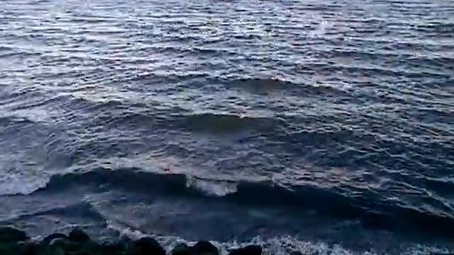 Puerto Montt, Region de Los Lagos, Chile. смотреть онлайн