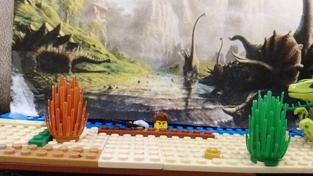 Моё хобби