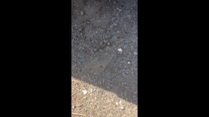 Как установить LED (лед) лампы в приору H7 и H11 Птф (туманки)  головной свет!