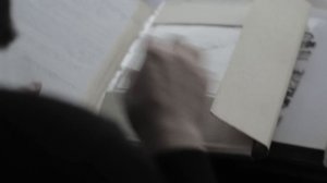 D-man 55 - Корни