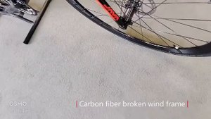Java Feroce3 Carbon Fiber Road Bike suppliers in China