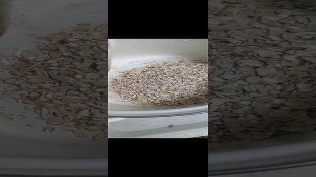 Готовлю овсяную кашу: ингредиенты