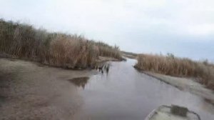 ЛОДКА БОЛОТОХОД 4 метра!На что она способна?